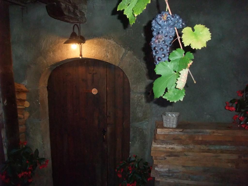 Le Domaine du Grand Cellier Chambres d'hôtes en Savoie Tournon-sur-Rhône Exterior foto